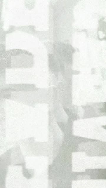 Нюта