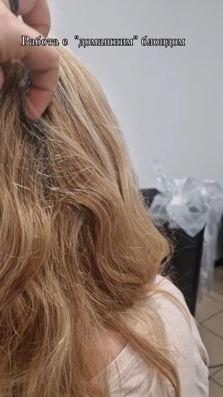Алина Чистякова