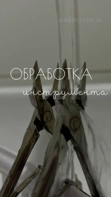 Даша Джинджер