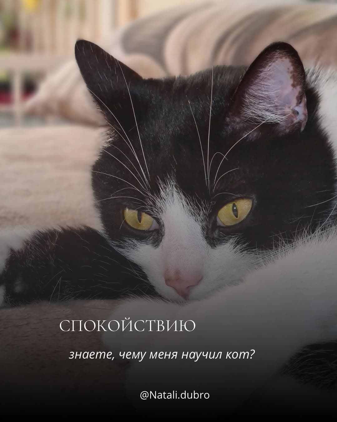 Натали Дубро