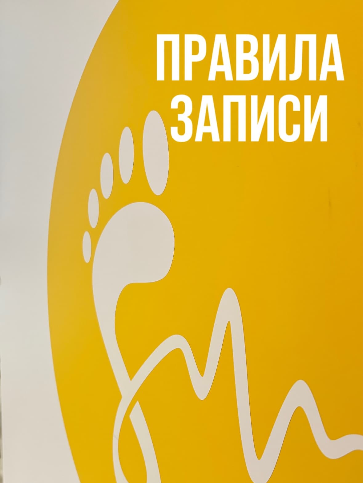 Настя