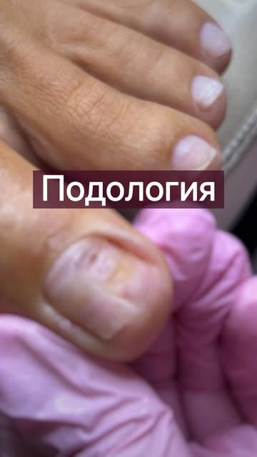 Светлана Никоненко