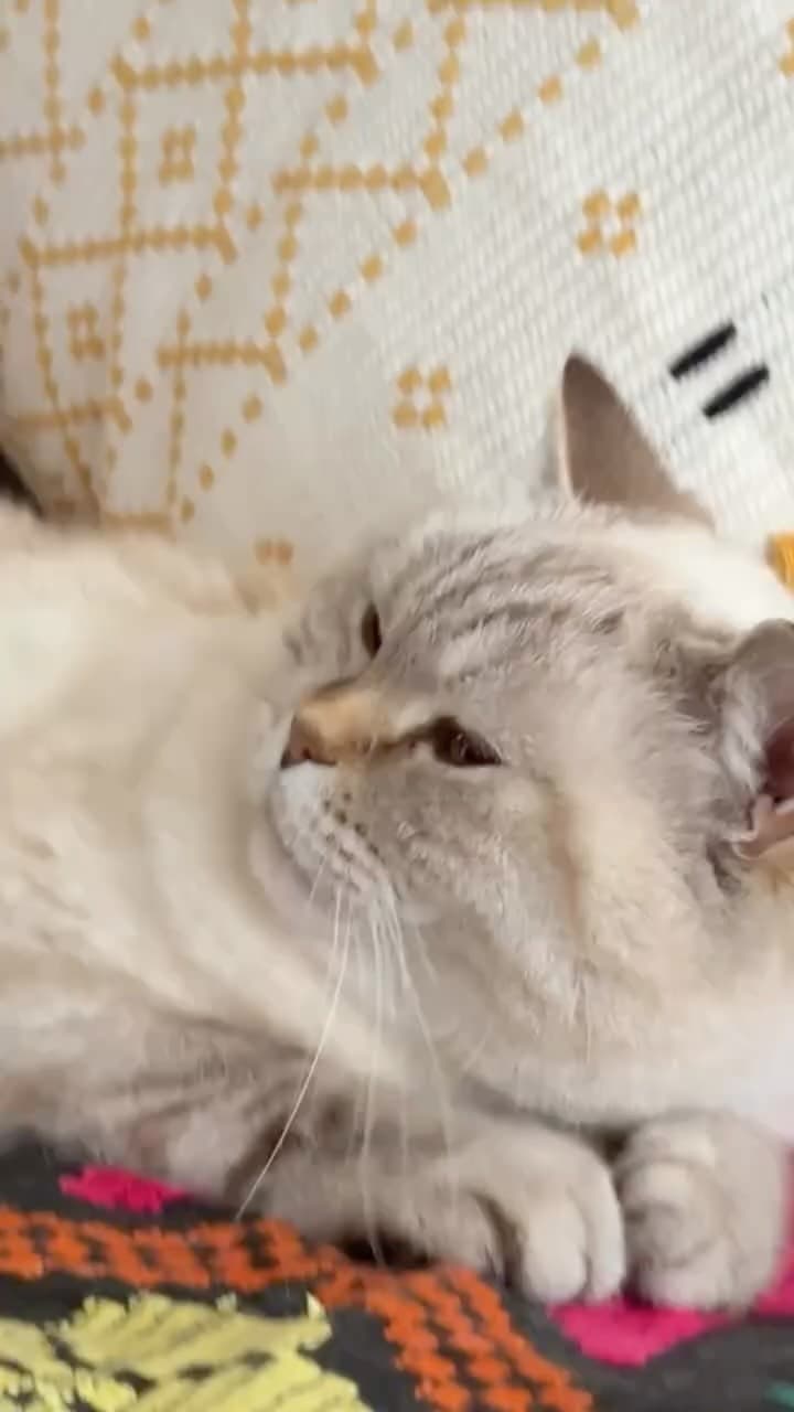 Василий